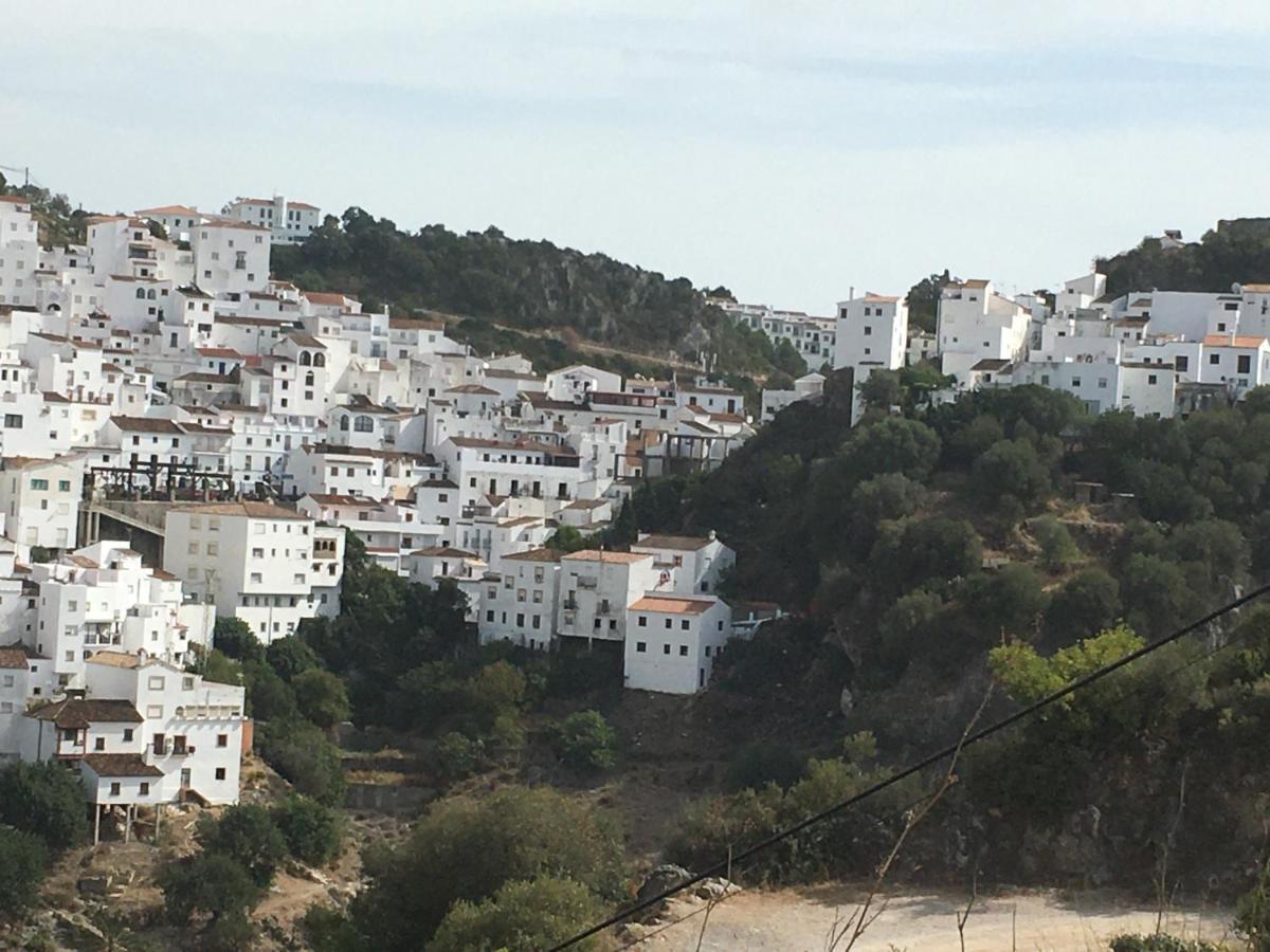 Апартаменты Casares Vacations Экстерьер фото