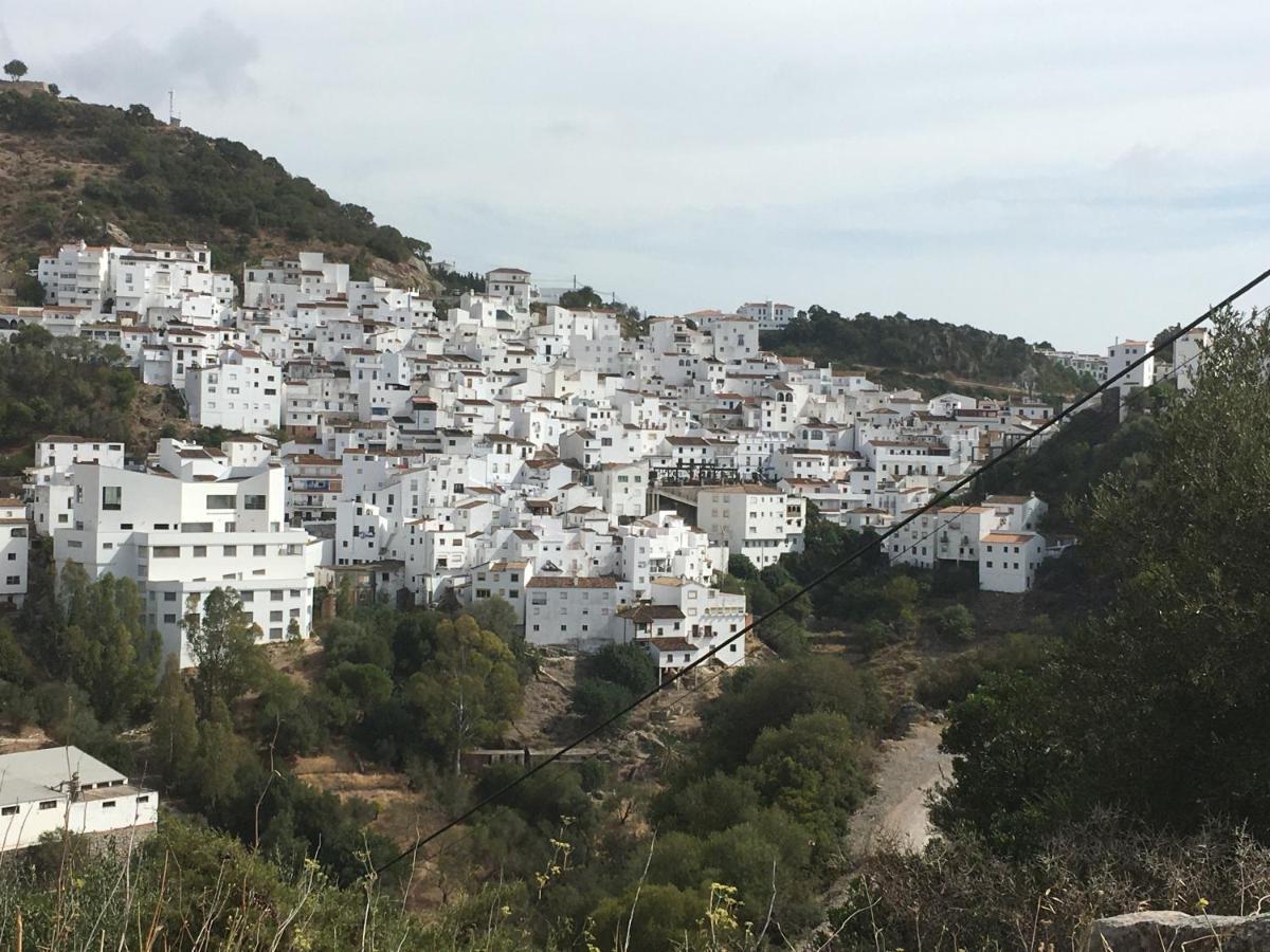 Апартаменты Casares Vacations Экстерьер фото